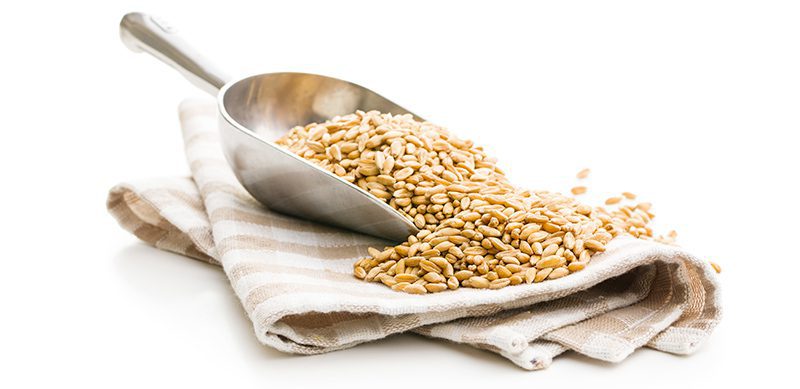 Gnocchi con il Farro