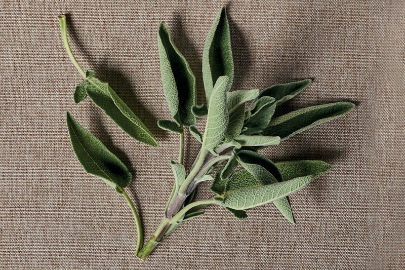 Burro e salvia