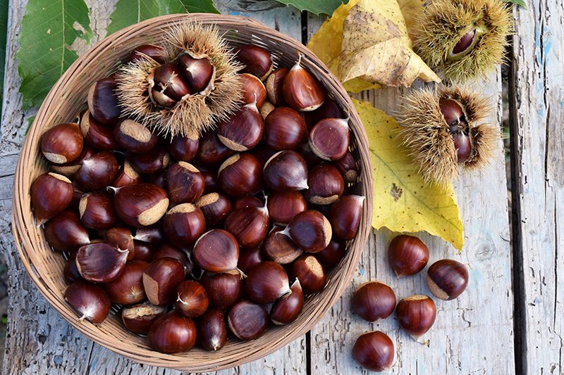Castagne per Ricetta gnocchi con ripieno di Asiago e Porcini su vellutata di castagne