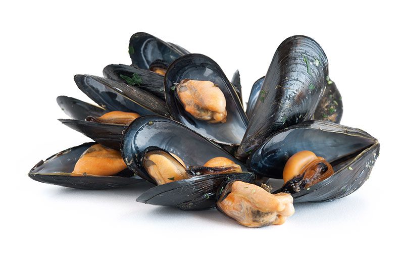 cozze