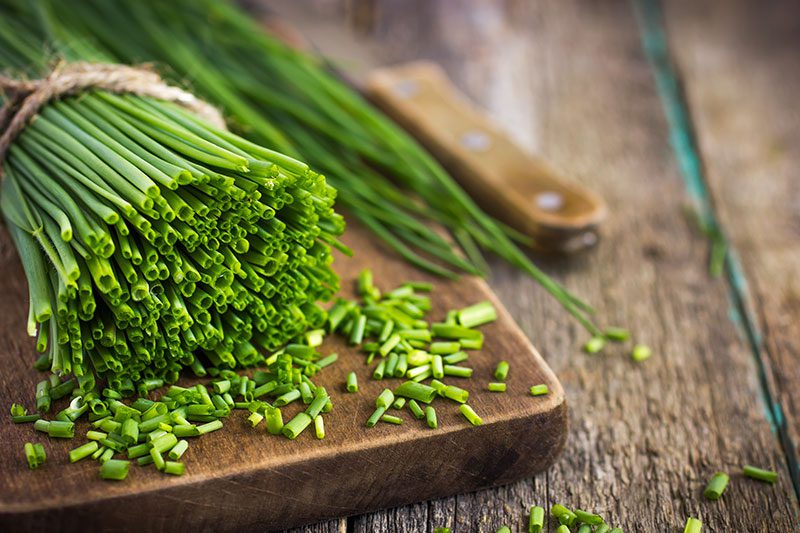 ricette con erba cipollina